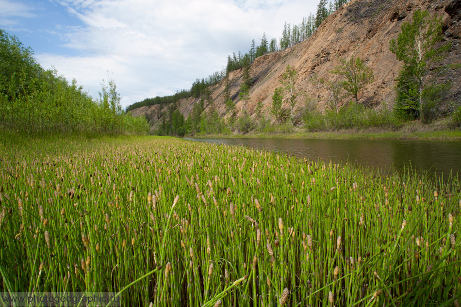 Наверху этой террасы и нашёл основную съёмочную точку. Но в заглавии поста обозначены координаты не этой точки, а точки стоянки, которая расположена несколько ниже по реке. И оттуда ещё нужно было пройти через лес, перейти протоку под террасой, а потом ещё забраться наверх по довольно крутому склону. Минут сорок времени это занимало точно, а то и больше.