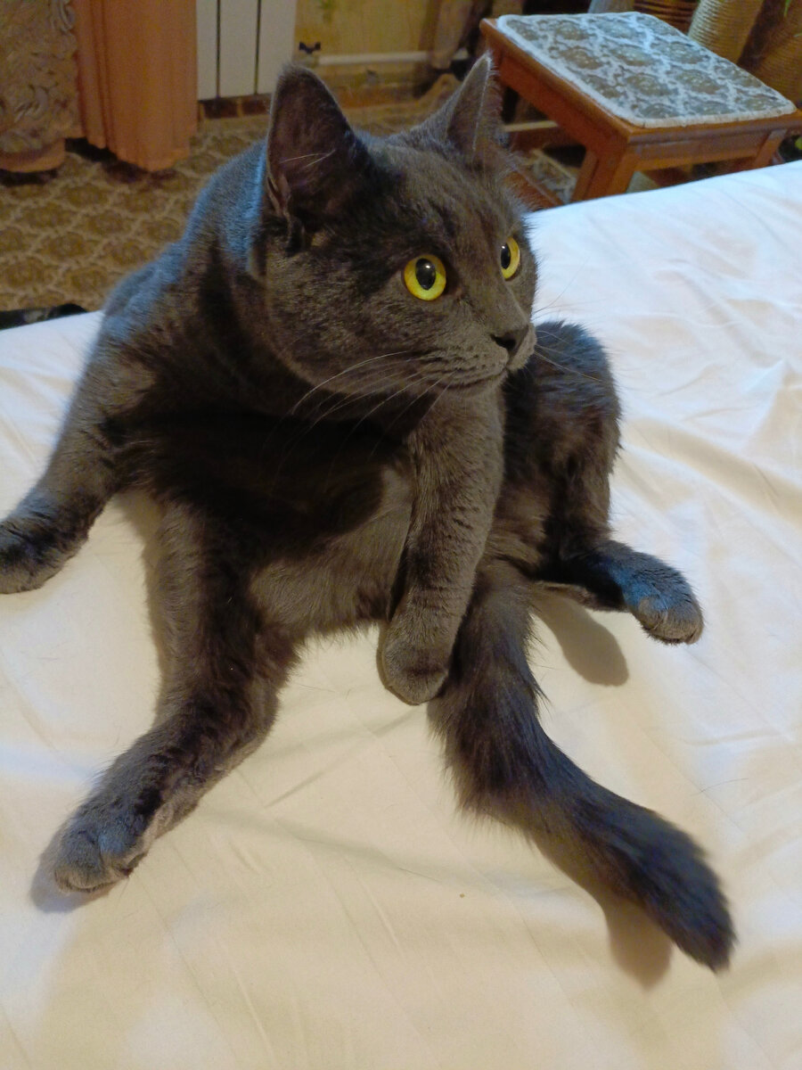 Ленивые моются, трудолюбивые чешутся!