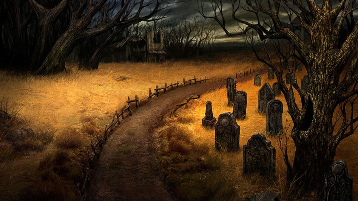 Изображение взято из открытых источников интернета. 