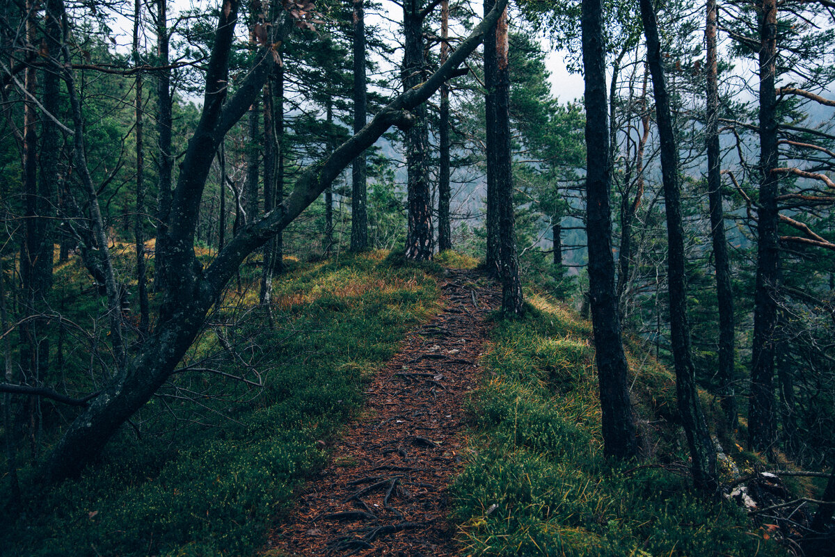 Фото: pxhere
