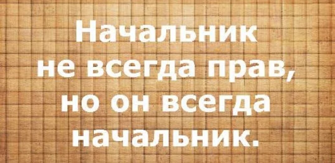 Нельзя начальство. Начальник дурак. Начальник всегда прав. Если начальник дурак. Начальник всегда прав приколы.