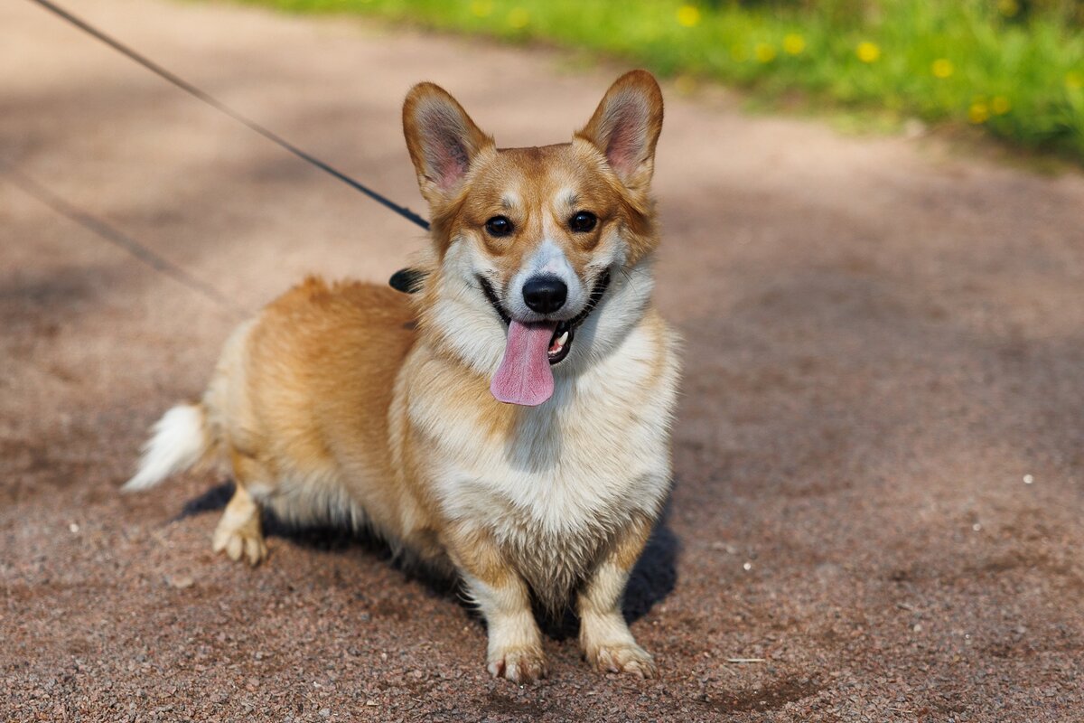 Фото Артема Важинского