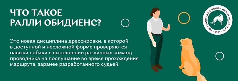 Что такое ралли обидиенс?