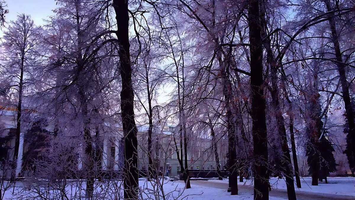     В Татарстане ожидается постепенное повышение температурного фона. Соответствующий прогноз предоставили синоптики гидрометцентра республики.