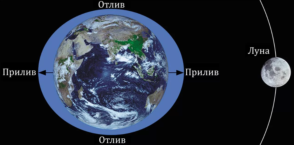 Приливы и отливы влияние Луны. Земля Луна отлив прилив схема. Приливы и отливы влияние Луны схема. Влияние Луны на приливы и отливы на земле. Луна вода притяжение