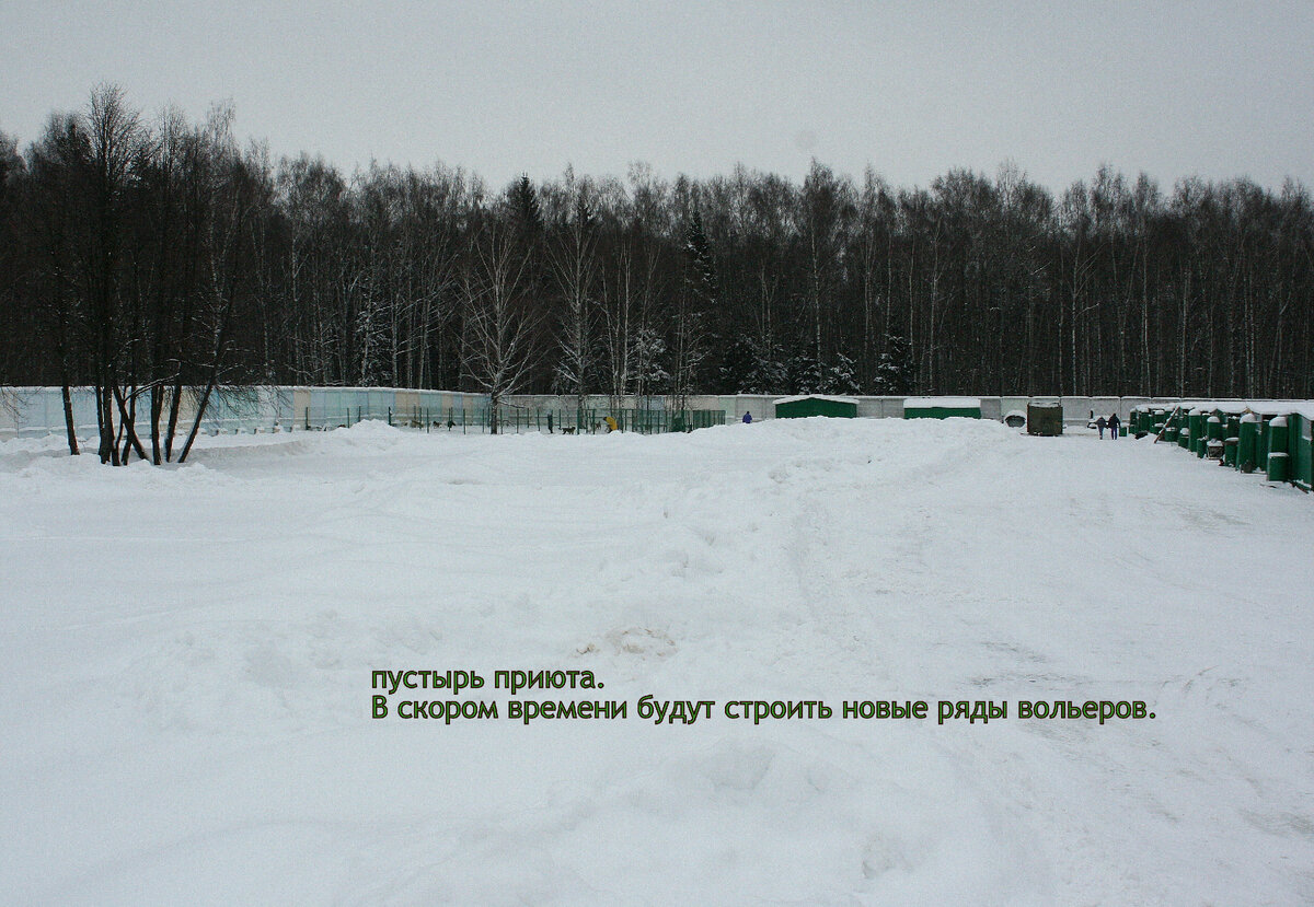 Сегодня на этом месте выстроены прогулочные площадки.