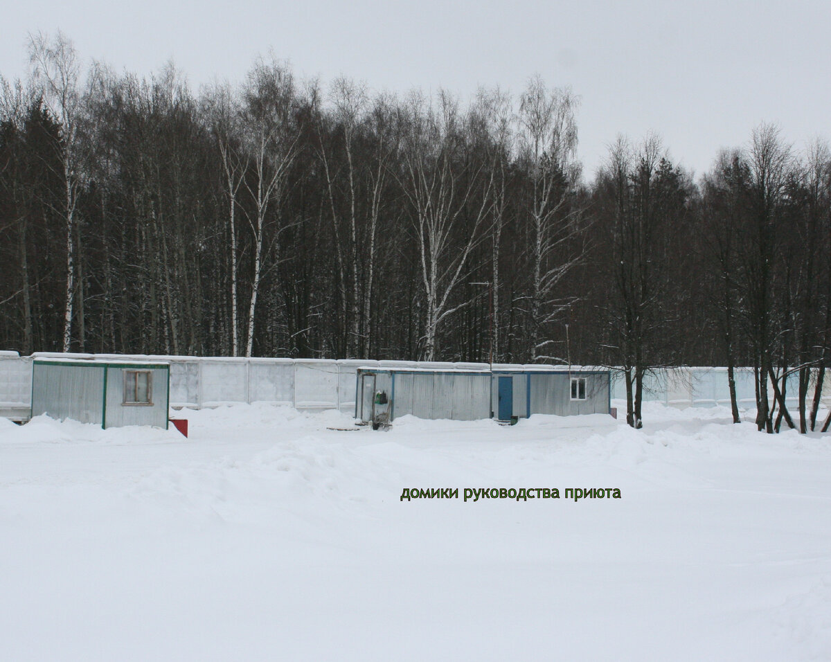 Вот так скромно размещалось поначалу руководство приюта.