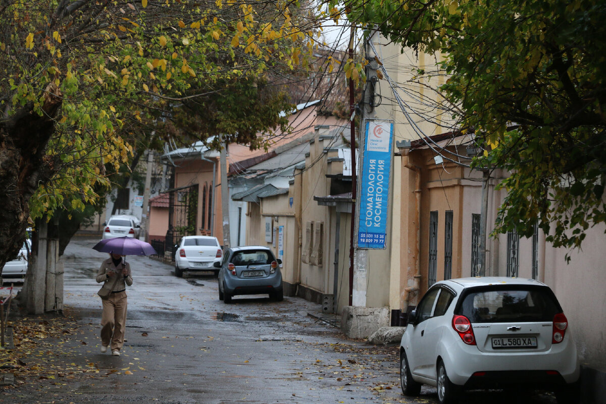 Что на востоке Ташкента: промзона, Куйлюк, Яшнабад, Мирзо-Улугбекский район  | Михаил Драбкин | Дзен