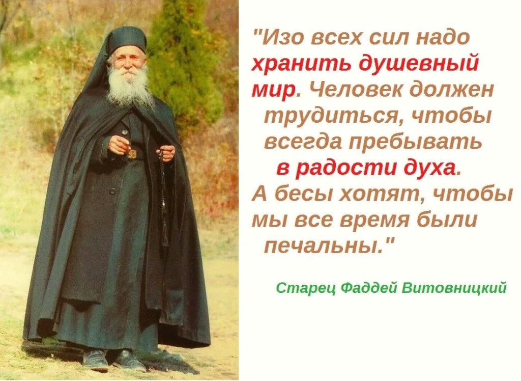 Праведные мысли. Архимандрит Фаддей Витовницкий духовные поучения. Старец Фаддей Витовницкий высказывания. Сербский старец архимандрит Фаддей Витовницкий. Фаддей Витовницкий изречения.