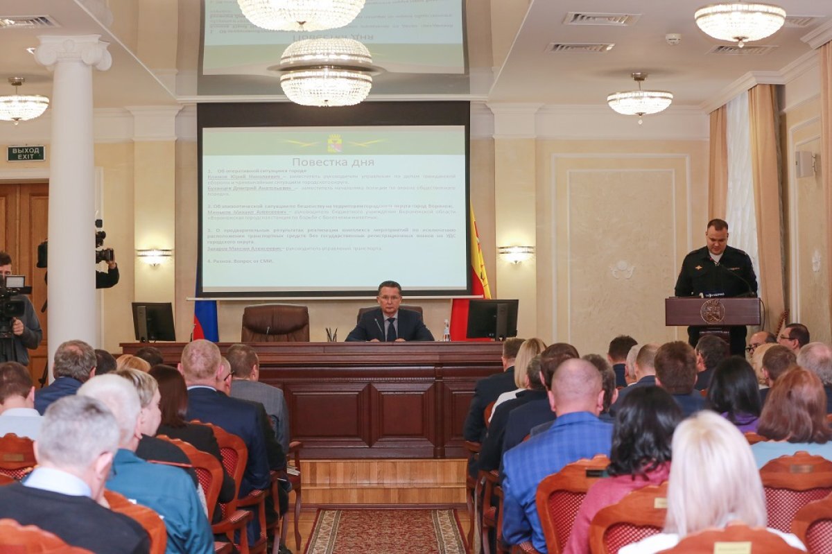    В Воронеже благодаря программе ОСВВ сократились случаи бешенства животных