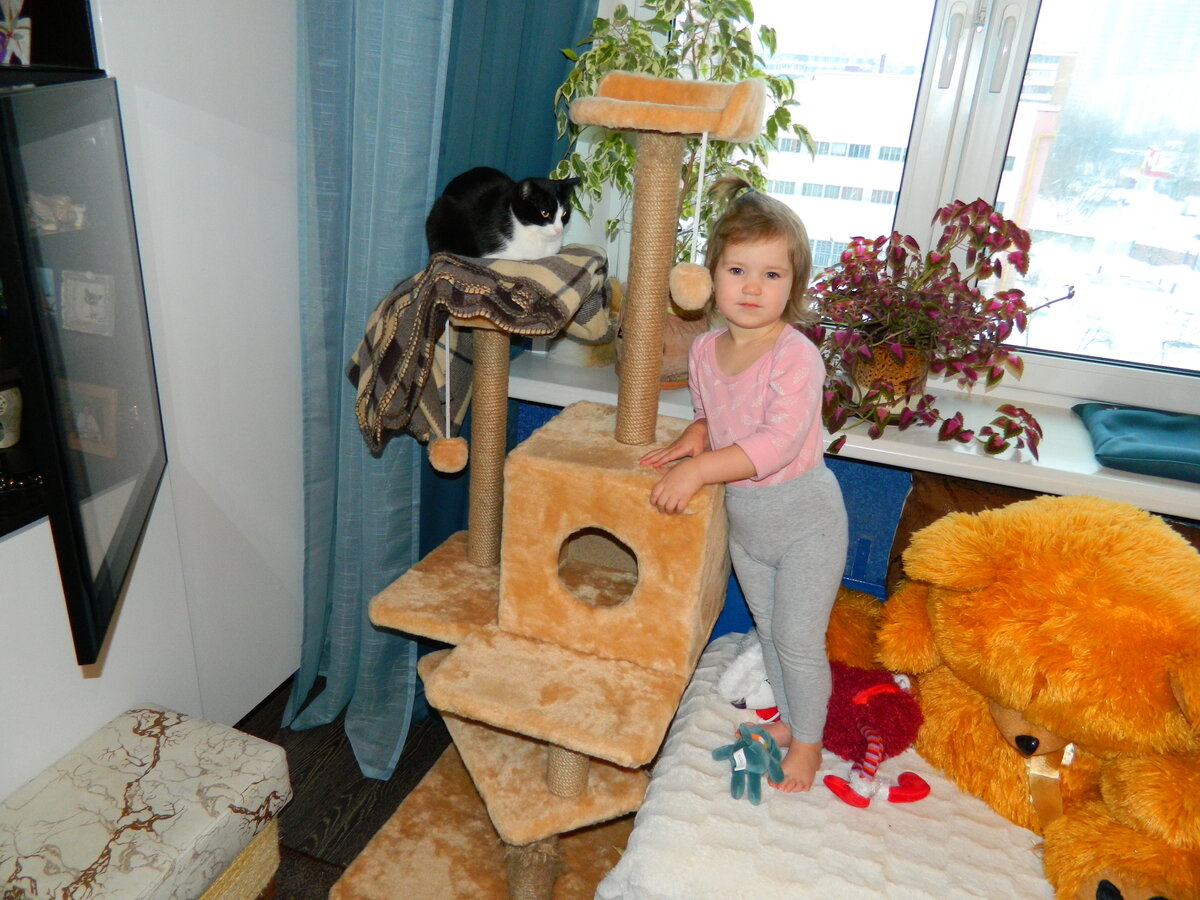 Алиса и кошка Лиза. По лазилке лазали обе