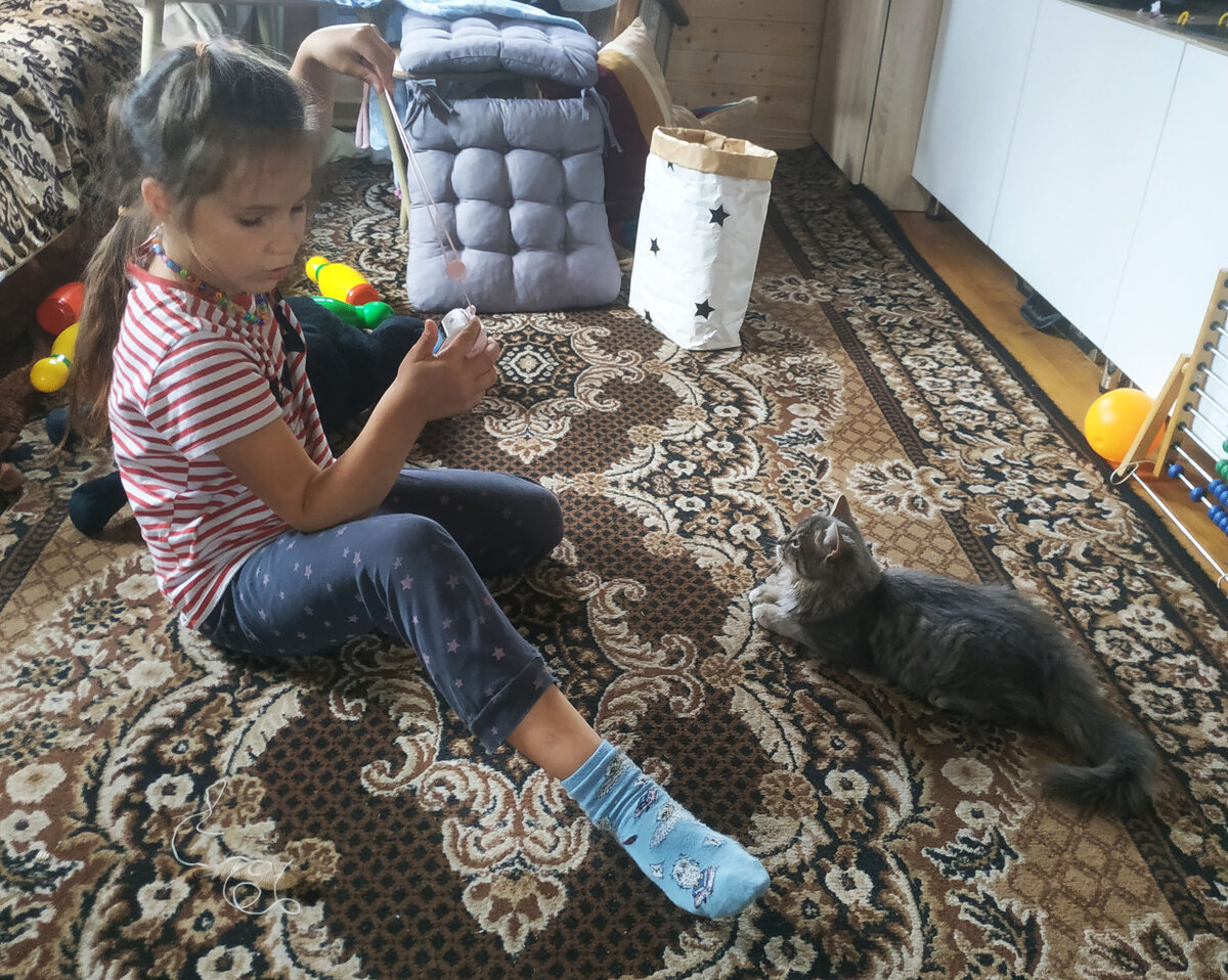 У Алисы новый друг - Беатриса