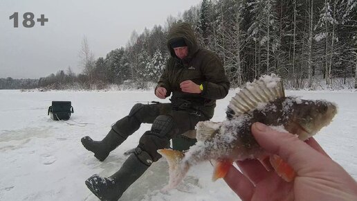 ПЕРВОЛЁДОК НА ЛЕСНОМ ОЗЕРЕ / ВТОРОЙ ДЕНЬ.