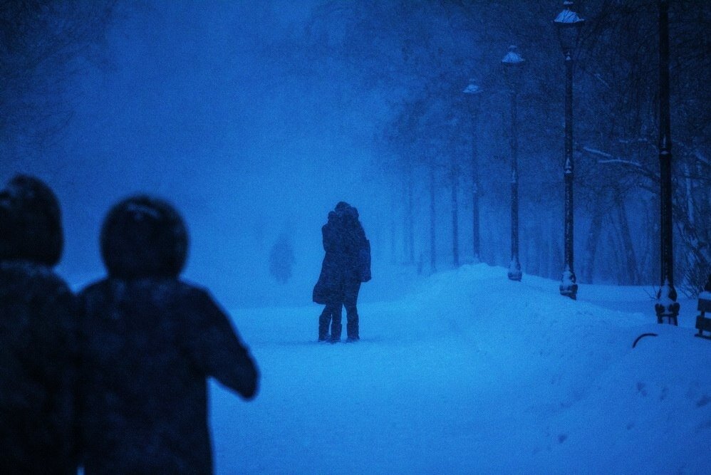 Ночной замерз. Неблагоприятные погодные явления Алтайского края. Метель в Барнауле 14 февраля 2024. Только смотрите не замерзнете ночью. Картинки птички мерзнут снег идет в мае
