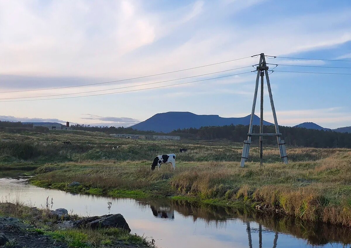 Фото: Московские ведомости