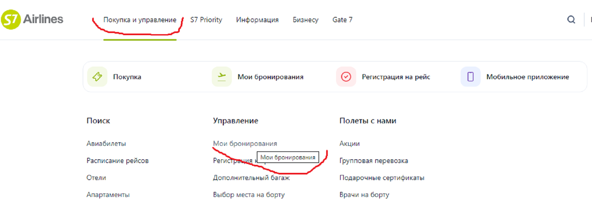 Мои бронирования.