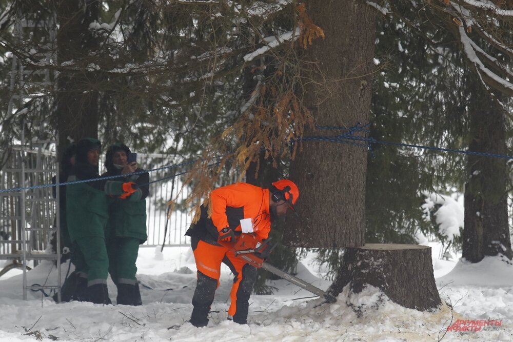    Фото:  АиФ/ Игорь Харитонов