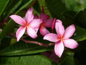    Фото: freepik.com/wirestock Анна Полякова