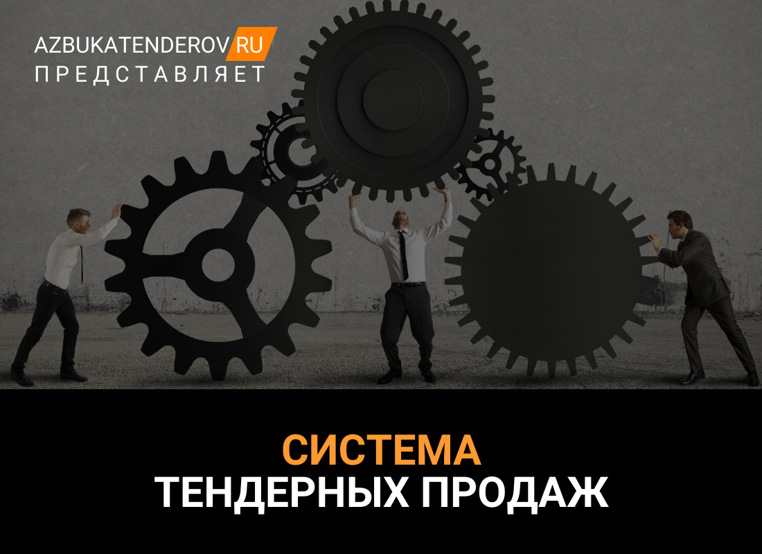 Система тендерных продаж: как сделать тендеры постоянным источником дохода  | Азбука тендеров | Дзен