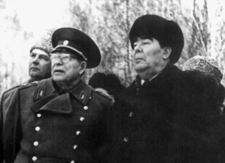 Ф цк. Устинов министр обороны ссср. Брежнев андропов черненко 1981. Конституционно-демократическая партия россии 1906. Брежнев леонид ильич.