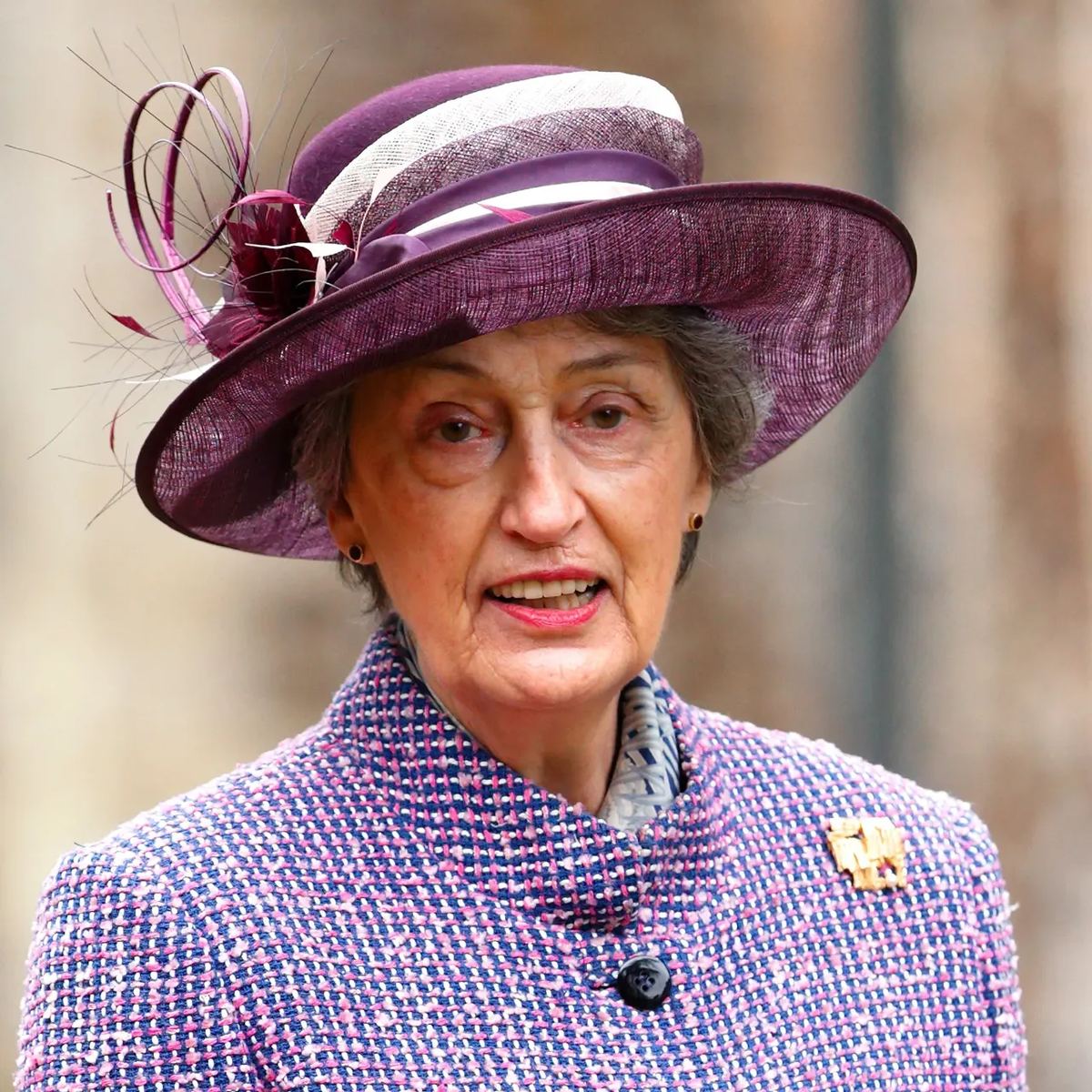 Леди Сьюзан Хасси