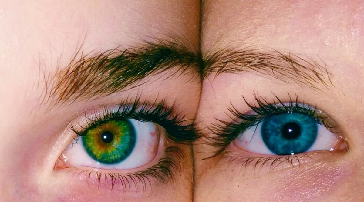 Глазками папа. Центральная гетерохромия хамелеон. Зелёно-голубые глаза. Зелёный цвет глаз самый редкий. Голубо-зеленый цвет глаз.