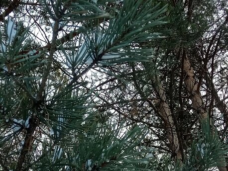 Фото из личного архива автора