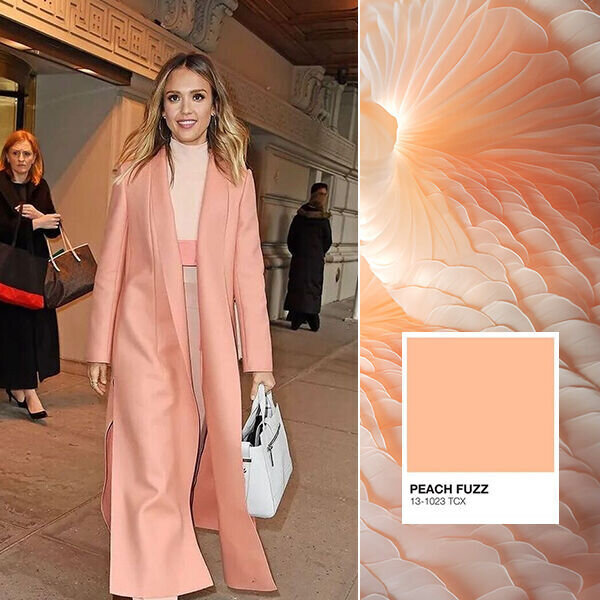 Источник фото: интернет, открытые источники.