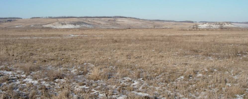 Погода данило воронежской. Хутор Данило Воронежская область. Село Данило Воронежская область. Данило Воронежская область.