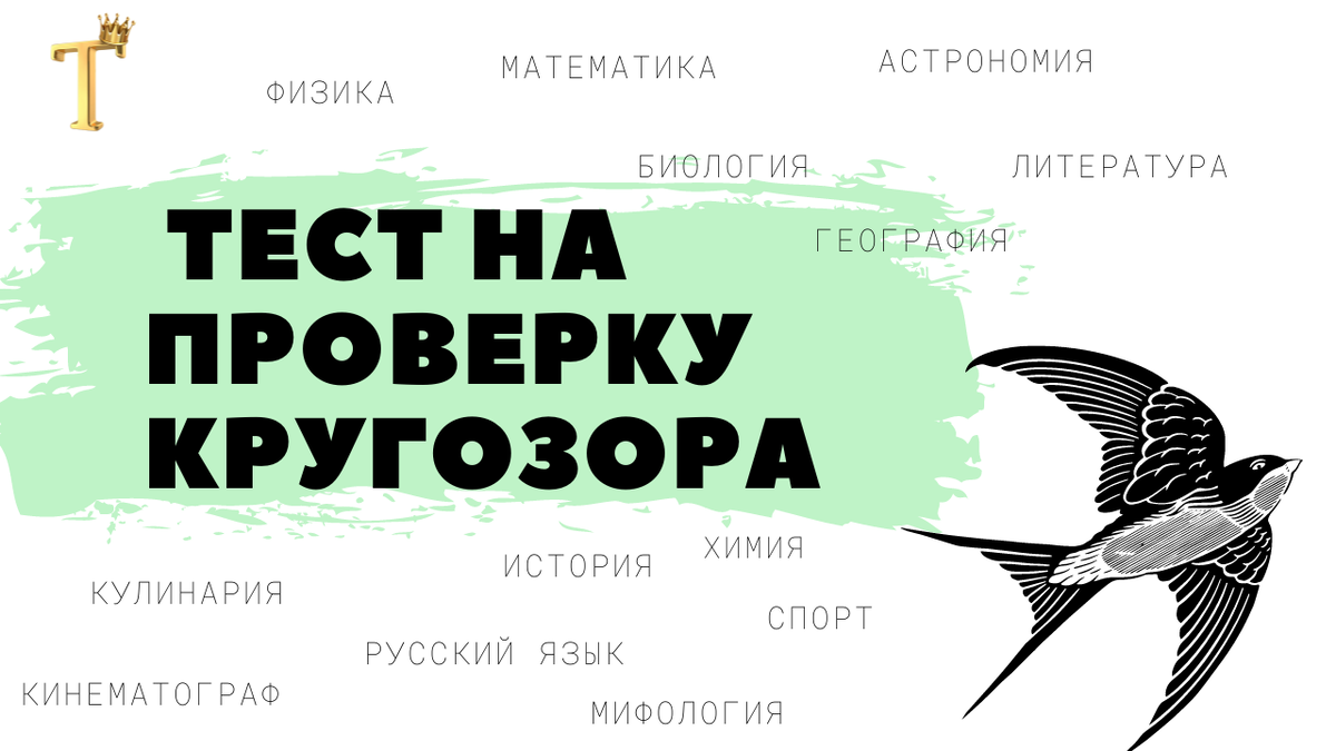 Ежедневный тест на проверку кругозора №999 (12 вопросов) |  Тесты.Перезагрузка | Дзен