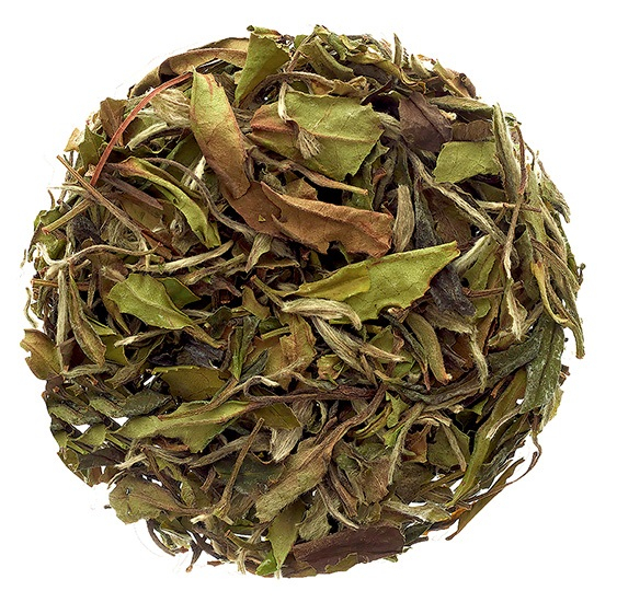 Белый чай бай. Баймудань чай. Вернёшь пион и белый чай. Лепестки пиона чай белый /рчк. Белый пион чай.