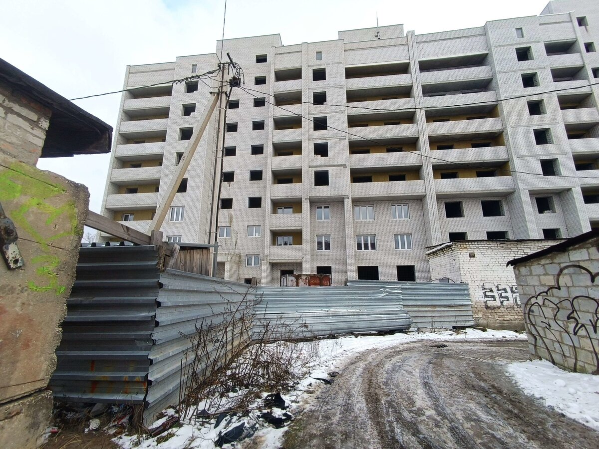 В Брянске освободили от ареста сына строителя Ванинского и крупного  застройщика Шикунова | Брянский Ворчун | Дзен