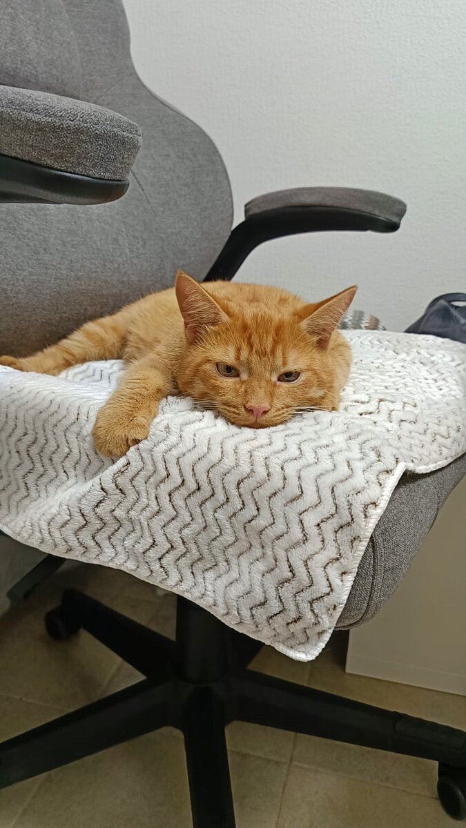 Феня первый день дома