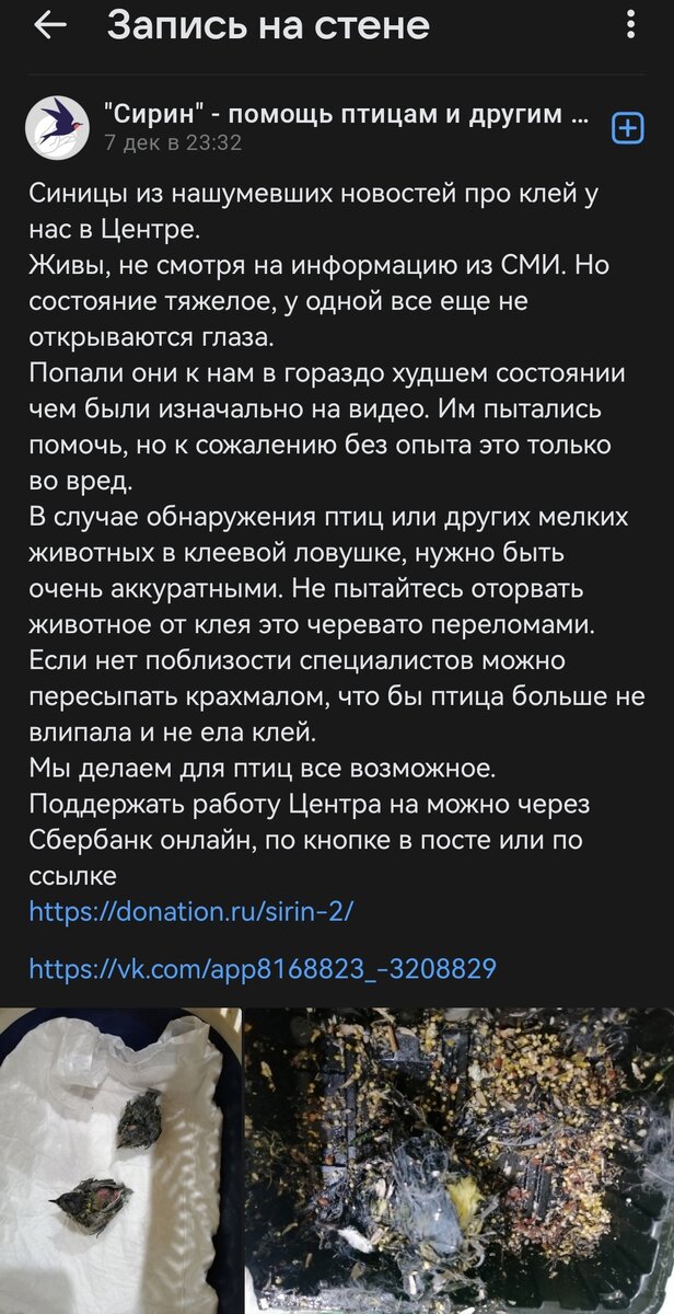 Скрин с экрана