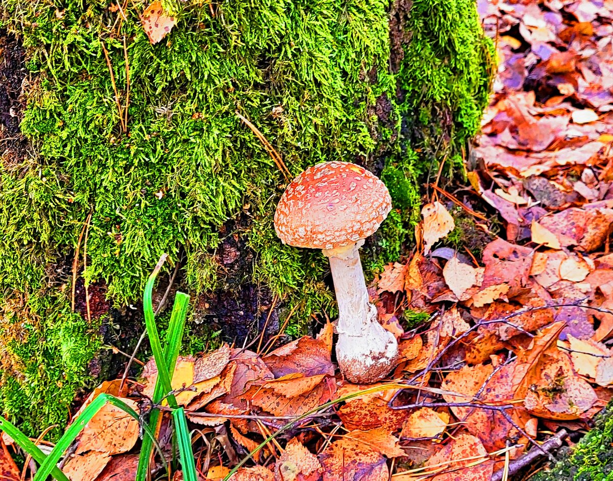 Фото принадлежит автору канала.