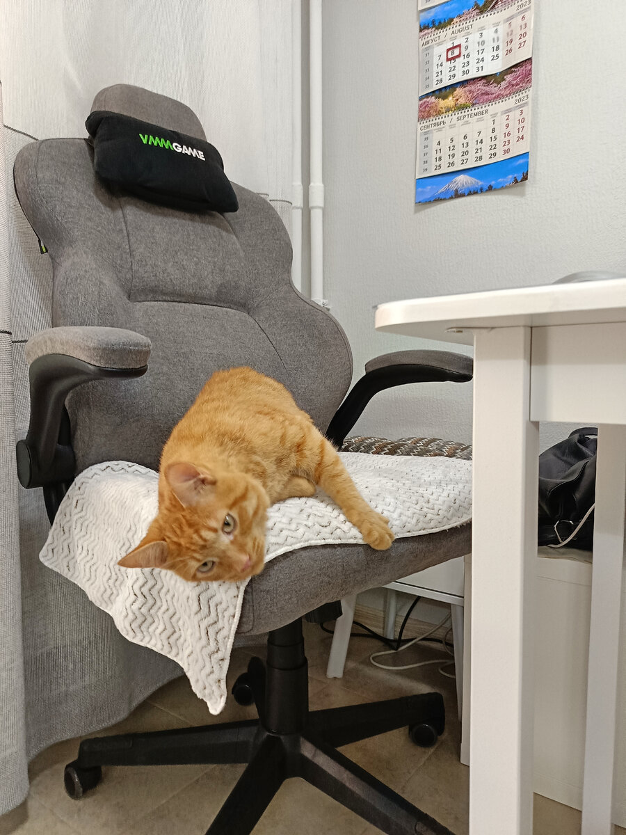 Первый день дома, на фото попал календарь, только когда готовила статью, заметила. 