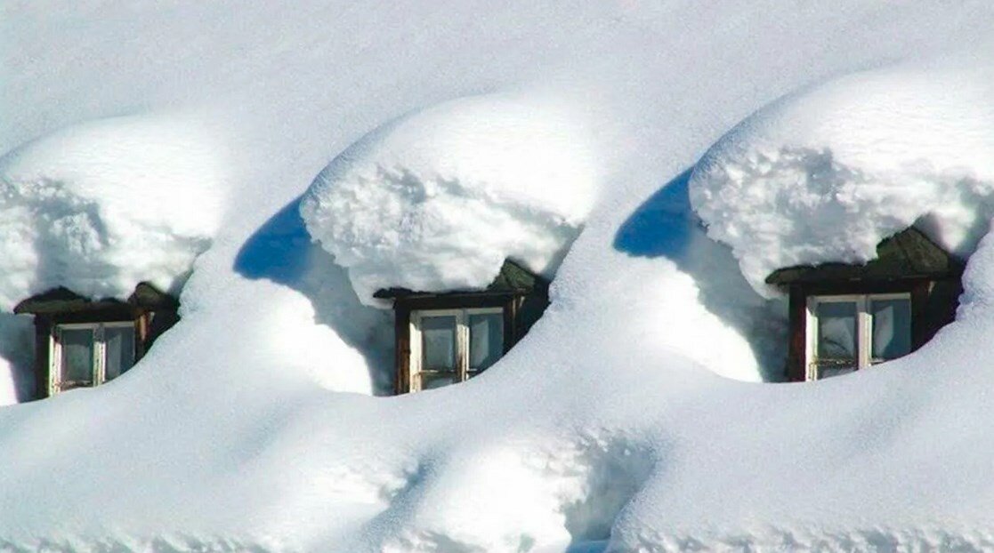 Фото из открытого источника