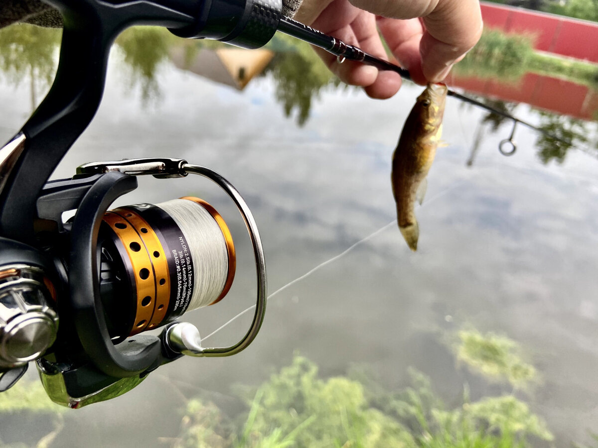 С каждой из этих катушек вы сможете раскрыть для себя ультралайт-ловлю с новой стороны, ощутить истинное удовольствие от тонкой снасти и поймать не одну осторожную рыбу!