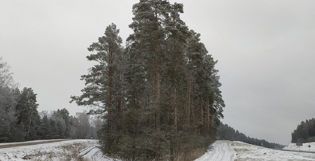 Фото автора. Беларусь