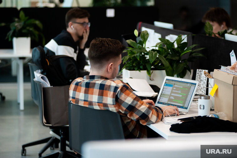    Трудовые отношения могут быть обеспечены только в пределах государства, считают в Минтруда