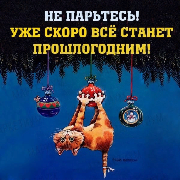 Яндекс.Картинки
