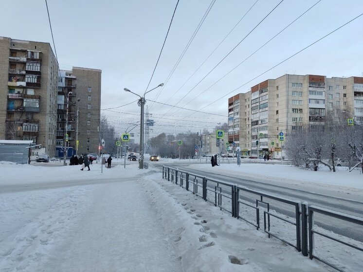     Фото: Анны Ковалёвой/КП-Томск