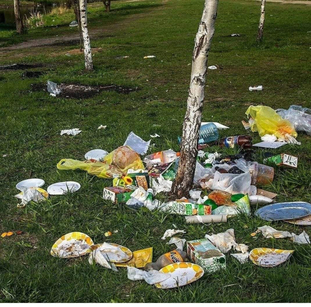 Разве вы считаете это нормальным?

