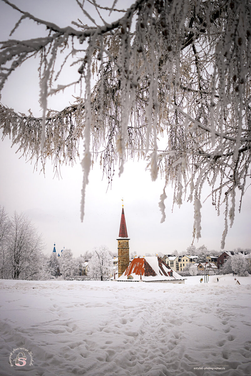 "Морозный Приоратский парк... ❄ 
Заснеженные ветки обрамляют красоту дворца
О, Приорат люблю тебя за самобытность, что прошла в веках
И вижу я тебя какой же ты прекрасный!"

Прогуливаясь по морозному Приоратскому парку.
Приоратский парк, г. Гатчина.
Снято: 8.12.2023 года
Фотограф: Анастасия Белякова