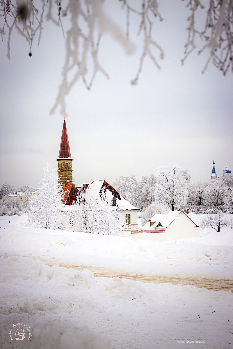 Приоратский парк, г. Гатчина. 
Снято: 8.12.2023 года
Фотограф: Анастасия Белякова