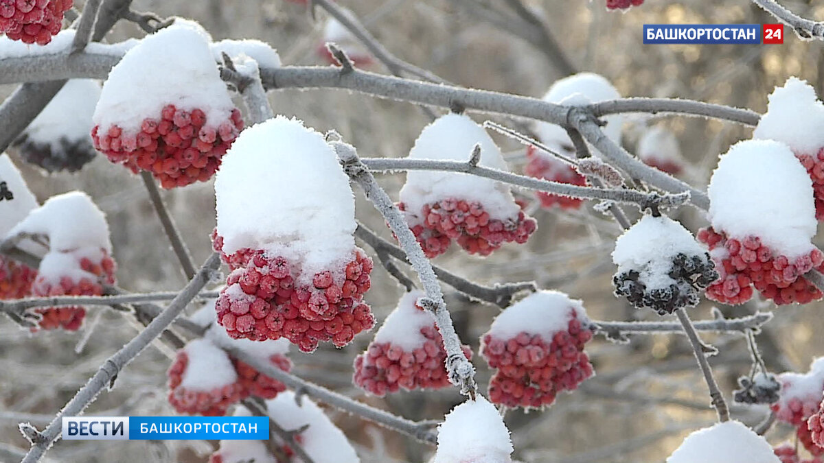    В Уфе вновь перекрыт абсолютный минимум температуры