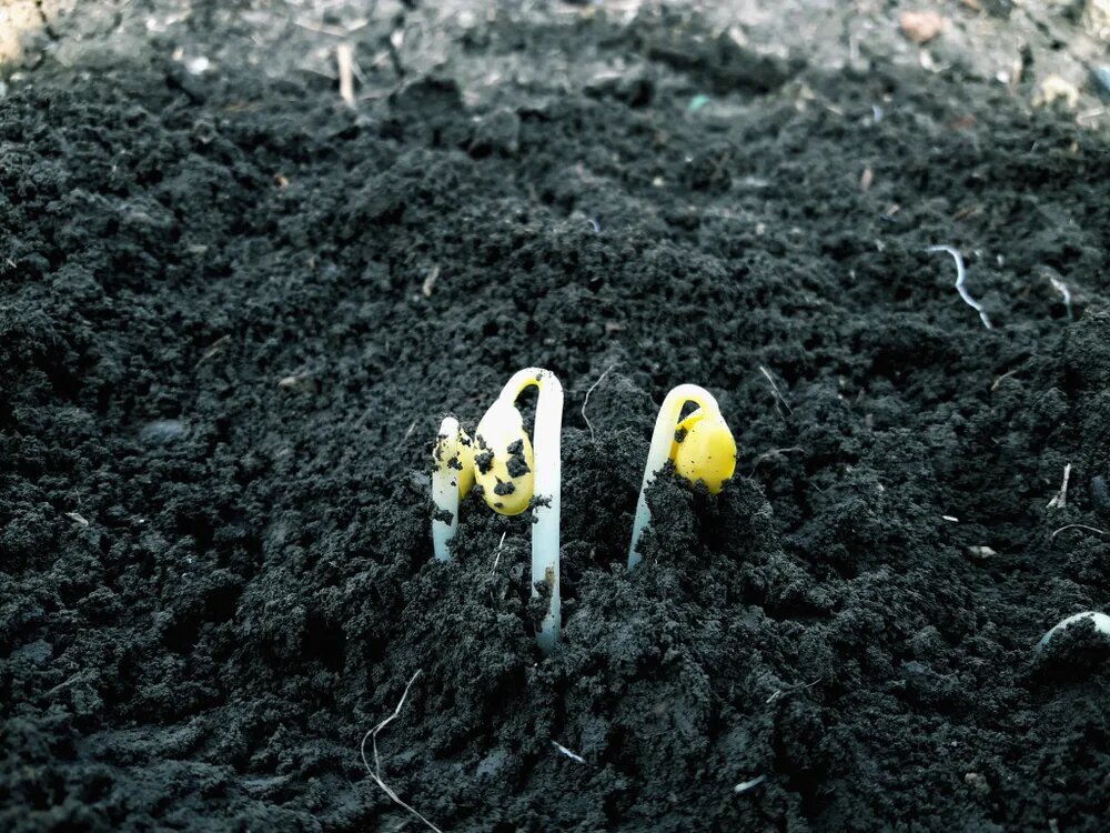 Добавьте описание