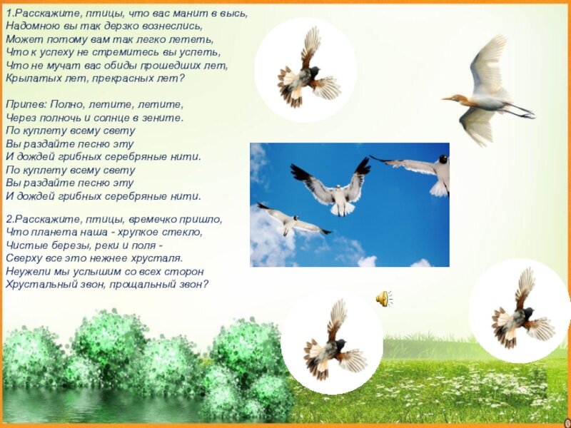 Журавли летят журавли хуснутдинов. Журавлиный клин в небе живопись. Ангел в небесах. Летите летите через полночь и солнце. Песня расскажите птицы текст.