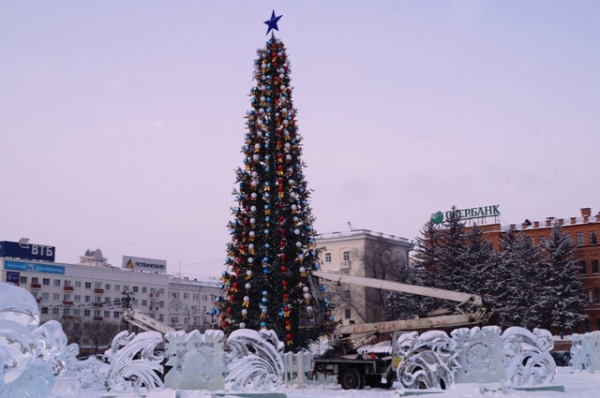    Власти Бийска рассказали, где поставят елки