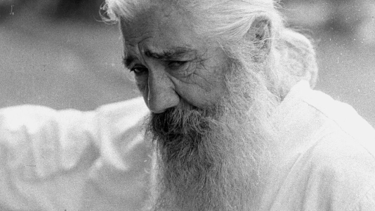 фото из открытого доступного источника сети интернет